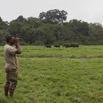 050 LOANGO Inyoungou Prairie Elephants et Philippe Observant les Buffles a Droite 12E5K2IMG_79043wtmk.jpg